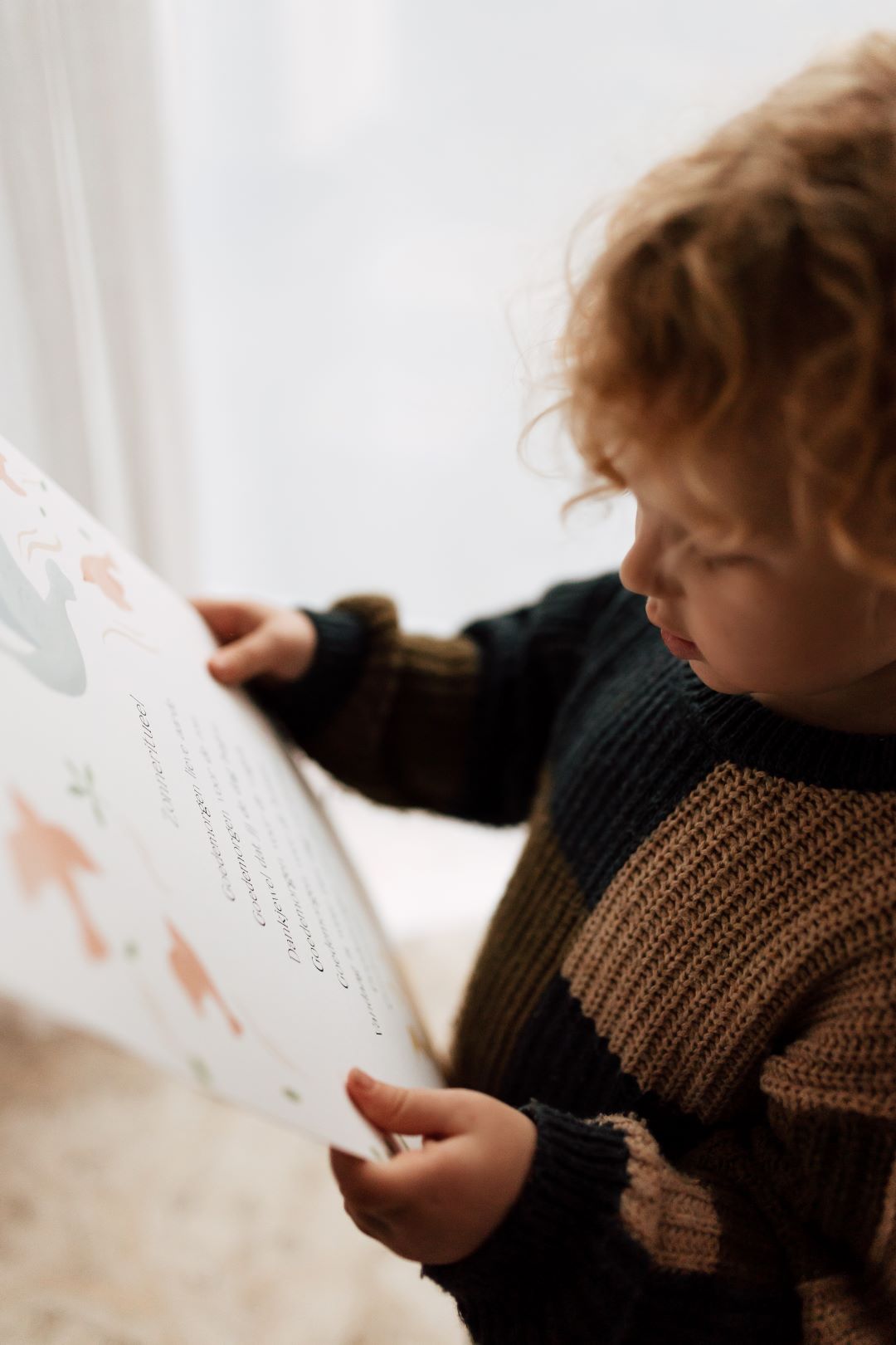 Zonneritueel - Image 2